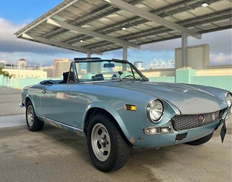 When you think of cool and affordable roadsters, you might picture classics like the MGB, Alfa-Romeo Spider, Datsun Fairlady/Sports 1600, or even the Mazda Miata. But there's another option that often gets overlooked – the Fiat 124 Spider. It's still easy to find, and if you're not too worried about rust, it's worth considering as a solid alternative. #124 #124Spider #Fiat #Italian Fiat 124 Sport Spider, Datsun Fairlady, Fiat Spider, Vw Type 3, Fiat 124 Spider, Alfa Romeo Spider, Mazda Miata, Alfa Romeo, Colorful Interiors