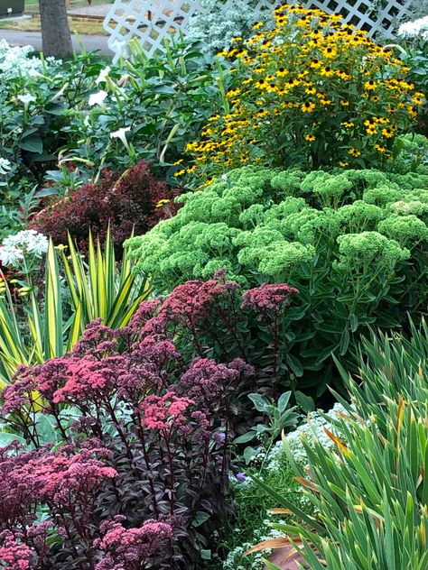 Late Summer in Patsy’s Garden - FineGardening Late Summer Garden, Late Summer Planting Guide, Tough As Nails Perennial Garden, Perinneal Garden Plan Shade, Heuchera Forever Purple, Stachys Byzantina, Heuchera Palace Purple, Garden Levels, Tiered Garden