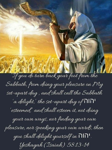 Shabbat Blessings, Jewish Sabbath, Jewish Feasts, Sabbath Quotes, Hebrew Quotes, Yahuah Yahusha, Shabbat Shalom Images, God Power, Images Of Jesus