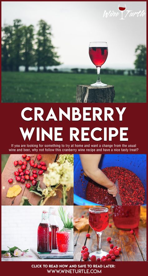 Cranberry Wine Recipe, Homemade Spirits, Wine Cheat Sheet, Infused Alcohol, Wine Making Recipes, Homemade Wine Recipes, Summer Beverages, Cranberry Wine, Frozen Juice