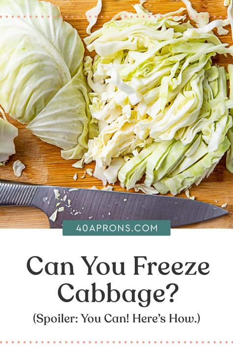 Cabbage is a delicious, nutritious way to add flavor and crunch to a meal, but sometimes you end up with more of this versatile veggie than you can (or want to) use in a week. Knowing if you can freeze cabbage (spoiler: you can! and I'll tell you how to do it!) will save you from unnecessary produce heartache. Can I Freeze Cabbage, Can Cabbage Be Frozen, How To Freeze Fresh Cabbage, How To Use Up Cabbage, Cabbage Freezer Meals, How To Freeze Cabbage Without Blanching, Uses For Cabbage, Frozen Cabbage Recipes, How To Freeze Cabbage