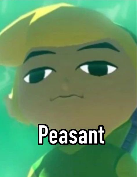 Wind Waker Link Pfp, Link Reaction Pic, Links Awakening Link, Link Wind Waker, Windwaker Link, Wind Waker Link, Link Loz, Loz Link, Oot Link