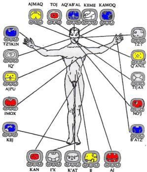 tzolkin | Nouveau paradigme de l'astrologie maya Mayan Astrology, Constellation Chart, Jade Amulet, Feathered Serpent, Sun Dogs, Mayan Art, Lake Atitlan, Red Candles, Visionary Art