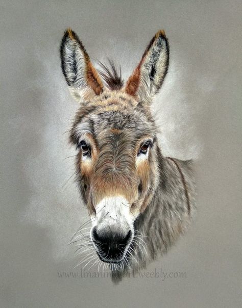 Donkey Drawing, Farm Animal Paintings, Cute Donkey, Pastel Portraits, Wildlife Paintings, Pastel Pencils, Equine Art, Color Pencil Art, Pastel Drawing