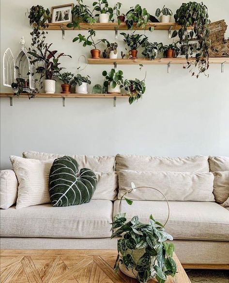 Latest Plant Shelves Designs Ideas 2022 | Wall Plant Shelve Decoration | Plant Decoration Ideas Floating Shelves Plants Living Room, Plant Wall Living Room Behind Couch, Plant Shelf Behind Couch, Plant Wall Behind Couch, Plant Shelf Above Couch, Hang Plants On Wall, Plant Shelves Living Room, Wall Plant Shelf, Living Room Plants Decor