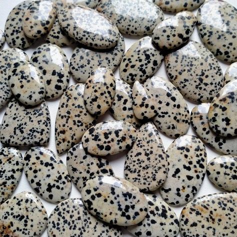 Jasper Dalmatian Stone, Dalmatian Stone, Stone Accessories, Crystal Aesthetic, Wire Wrap Jewelry, Crystal System, Dalmatian Jasper, Pretty Rocks, Wrap Jewelry