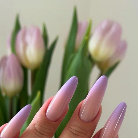 LEA G Nail and School 🌼 on Instagram: "💐💜   Gel paint LIV  Nude Cover 1  Diamond top coat 2.0  @_almascreation_ 💜   #nail #nailart #nailsnailsnails #babycolor #babycolornails #babycolors #babyboomer #babyboomernails #nailaddict #naildesigns #nailporn #nailtech #almondnails #almondnailshape #almondnailsdesigns" Nails Lilla, Babycolor Nails, Border Nails, Baby Boomers Nails, Gel Paint, Gel Toe Nails, G Nails, Celebrity Nails, Diamond Top