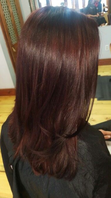 Red Hair No Bleach, Chocolate Hair Dye, Dark Red Hair With Brown, Redish Brown Hair, Pelo Color Vino, Reddish Brown Hair Color, Red Brown Hair Color, Reddish Hair, Highlights For Dark Brown Hair