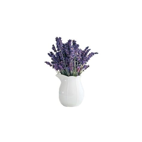 Vase Cottagecore, Filler Aesthetic, Phone Edits, Cottagecore Icons, Insta Theme, Purple Png, Carrd Png, Pngs For Moodboards, White Bg