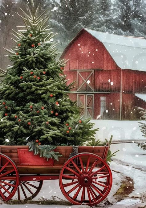 Christmas Scenes Photography, Farmhouse Christmas Phone Wallpaper, Christmas Barn Decorations, Christmas Barn Photo Session, Christmas Scenery Pictures Holidays, Champagne Images, Outdoor Christmas Decoration Ideas, Christmas On The Farm, Outdoor Decoration Ideas