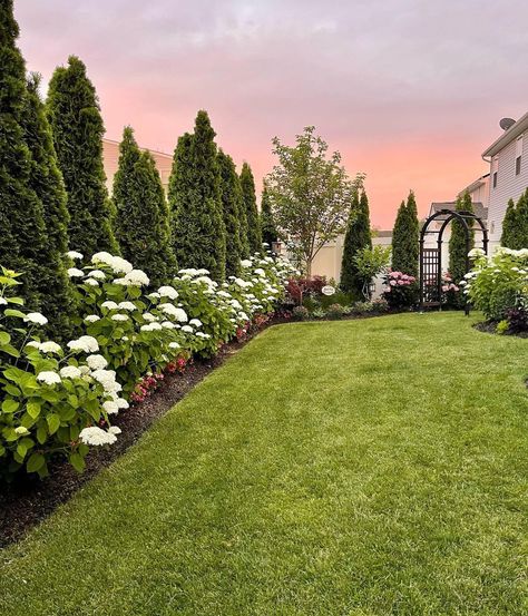 Ranch Landscape Ideas Front Yard, Arbor Vitae Privacy, Tree Line Landscaping, European Backyard Landscaping, Faux Grass Patio, Front Patio Landscaping, Square Backyard Landscaping Layout, Cedar Landscaping, European Backyard