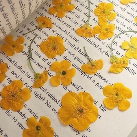 emptytothebone:“They say in every library there is a single book that can answer the question... Maddie Aesthetic, Themed Sketchbook, Flower Logos, Buttercup Flowers, Henry Green, Plants Photography, Single Book, Yellow Aesthetic Pastel, Hufflepuff Aesthetic