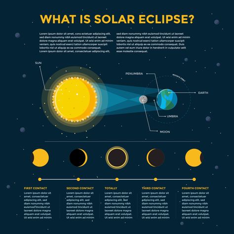 Download the Modern Solar Eclipse Infographic 2776949 royalty-free Vector from Vecteezy for your project and explore over a million other vectors, icons and clipart graphics! Cityscape Photos, Logo Banners, Solar Eclipse, Presentation Slides, Heart With Arrow, Custom Illustration, Marketing Design, Custom Packaging, Custom Branding