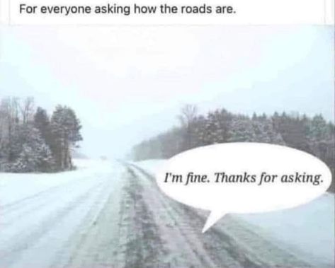 How are the roads? Snow Meme, Winter Humor, Weather Memes, Gf Memes, Clean Memes, Snow Storm, Wholesome Memes, Bloopers, Bones Funny