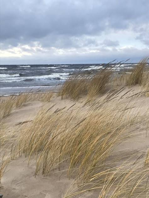 Beach Grass Aesthetic, Coastal Landscape Photography, Clean Beach Aesthetic, Rikki Chadwick Aesthetic, Coastal Photos, Rikki Chadwick, Seaside Aesthetic, Seaside Photography, English Seaside