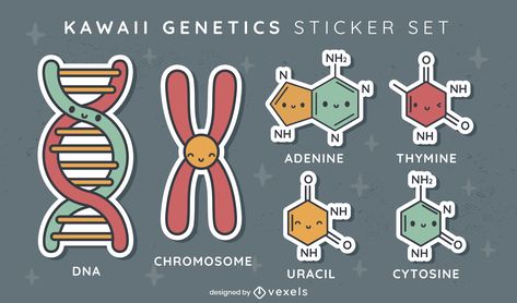 Cute chemistry and genetics sticker set Gen Biology Design, Genetics Doodle, Genetics Stickers, Genetics Drawing, Genetics Aesthetic, Chemistry Stickers, Genetics Art, Dna Sticker, Cute Chemistry