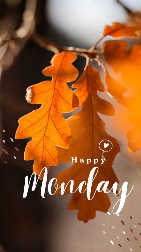 Autumn Instagram Story, Work Related Quotes, Happy Monday Images, Happy Monday Quotes, Happy Monday Morning, Monday Morning Quotes, Morning Words, Designs Stickers, Morning Sweetheart