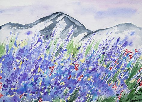 Mountain Flowers, Mountain Artwork, Watercolor Mountains, Colorado Mountain, The Rocky Mountains, Before Sunset, Rich Purple, Colorado Mountains, Fantasy Artwork