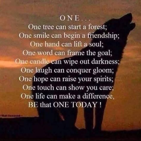 Gregg Braden on Instagram: “It only takes one small action from the heart to create a beautiful ripple effect. Shared from Charokee Native American Prayers…” Native American Wolf Quotes, Wolves Quotes, Native American Prayers, Native American Wolf, Wolf Quotes, Online Yoga Classes, Wolf Pictures, Motivational Prints, One Candle