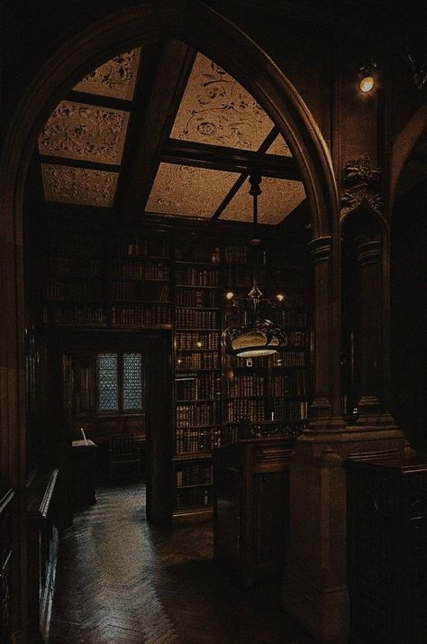 Paradis Sombre, Dark Academy Aesthetic, Wammy's House, Era Victoria, Dark Acadamia, Academia Aesthetics, Castle Aesthetic, Aesthetic Dark Academia, Old Library