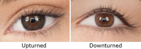 Makeup For Upturned Eyes, Upturned Eyes, Pro Makeup Tips, How To Do Eyeshadow, Drugstore Eyeshadow, Eyeshadow Basics, Wide Set Eyes, Maybelline Color Tattoo, Dark Eyeshadow