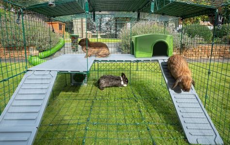 Bunny Sheds, Outdoor Rabbit Run, Rabbit Playground, Rabbit Tunnel, Rabbit Shed, Guinea Pig Run, Large Rabbit Hutch, Flemish Giant Rabbit, Rabbit Enclosure