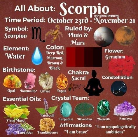 Types Of Jasper, Types Of Quartz, About Scorpio, Aquarius Sun, Zodiac Signs Elements, All About Scorpio, Zodiac Quotes Scorpio, Horoscope Tattoos, Aquarius Season