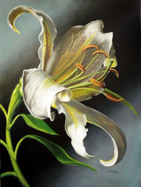 Delmus G. Phelps OIL Lily Pictures, Contemporary Oil Paintings, Lily Painting, Still Life Flowers, White Lily, Flower Artwork, Oil Painting Flowers, Realism Art, White Lilies