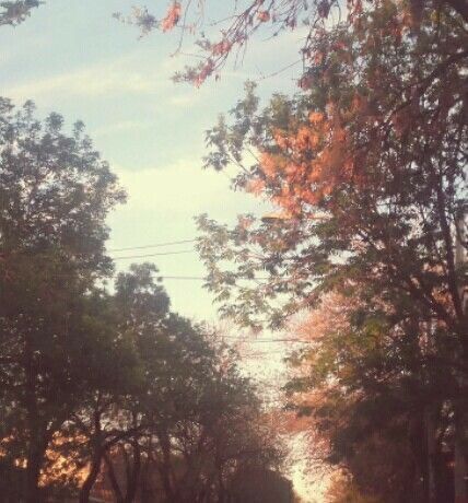 Midwest Emo, The Clouds, The Road, The Sun, Trees, Sun, Road