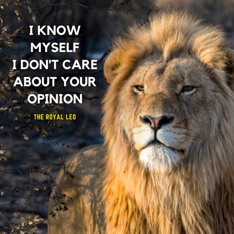 Off course More Leo Quotes on YouTube 👉 https://bit.ly/2T5cc7S #Leo #Lion #Lions #LeoFacts #LionQuotes #LeoZodiac #TheRoyalLeo #LeoQuotes #AttitudeQuotes #LeoAttitude #LionAttitude #LeoWoman #Leos #Leo♌ #LeoGang #LeoSeason♌ #LeoLife #LeoQueen #LionKing #Lioness Lioness Quotes, Lion Motivation, Motivational Signs, Reggae Art, Lion Live Wallpaper, Leo Zodiac Quotes, Leo Woman, Leo Quotes, Leo Zodiac Facts