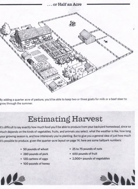 half acre Homestead Layout, Acre Homestead, Landscape Design Drawings, Farm Plans, Homestead Farm, Farm Layout, Mini Farm, Landscape Design Plans, Backyard Farming