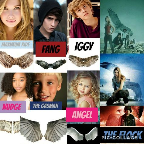 Maximum Ride Characters Maxium Ride, Maximum Ride, Art Station, Book Aesthetic, Dreamworks, Book Worms, Romance, Books, Quick Saves