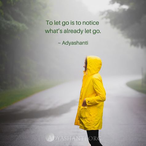 "To let go is to notice what's already let go." ~ Adyashanti Acceptance Quotes, Deep Healing, Meditation Benefits, Meditation Techniques, Spiritual Enlightenment, Holistic Healing, Let Go, Spiritual Awakening, Spiritual Quotes