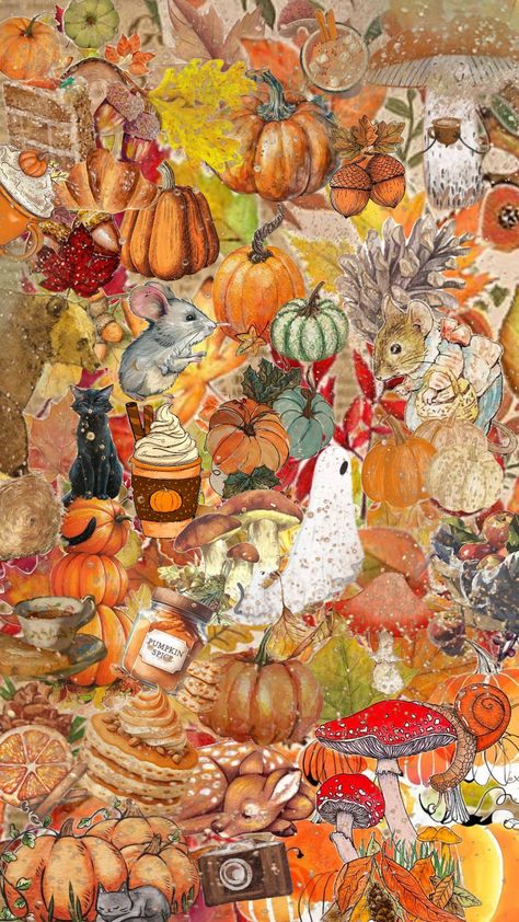 @ellamary29 #comp #fall #fallaesthetic #autumn #autumnaesthetic #autumncore #pumpkin #pumpkins #mushrooms Autumn Collage, Fall Collage, Tech Background, Pink Halloween, Phone Design, Autumn Aesthetic, Cute Wallpaper Backgrounds, Cute Cartoon Wallpapers, Cartoon Wallpaper