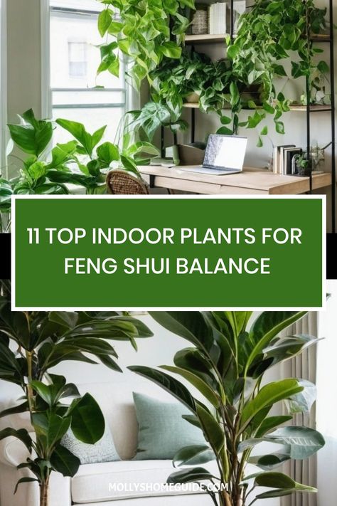 Discover the top houseplants for health and prosperity with our ultimate guide to feng shui plants. Enhance your living space with the best indoor plants for health, like air-purifying snake plants and blooming favorites. Explore lucky plants that attract money and bring wealth, such as rubber tree plants. Find out about the best bedroom plants for a tranquil atmosphere. Uncover Snake plant placement tips to maximize their positive energy in your home. Plants For Health, Lucky Indoor Plants Feng Shui, Feng Shui Bedroom Plants, Plant Ideas Indoor, Lucky Plants For Home, Indoor Plant Room Ideas, Best House Plants, Indoor House Plants, Plant Placement In Home