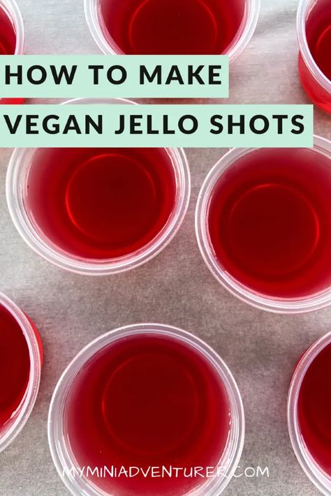 How to Make Vegan Jello Shots - My Mini Adventurer Vegan Jello Shots, Vegan Jello, Watermelon Jello Shots, Easy Jello Shots, Jello Shots Vodka, Watermelon Jello, Halloween Jello Shots, Peach Jello, Vegan Jelly