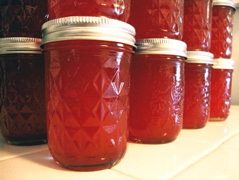 Sand Plum Jelly Recipe, Wild Plum Jelly Recipe, Plum Jelly Recipe, Prickly Pear Jelly, Pear Jelly, Steam Juicer, Plum Jam Recipes, Making Wine, Wine Recipe