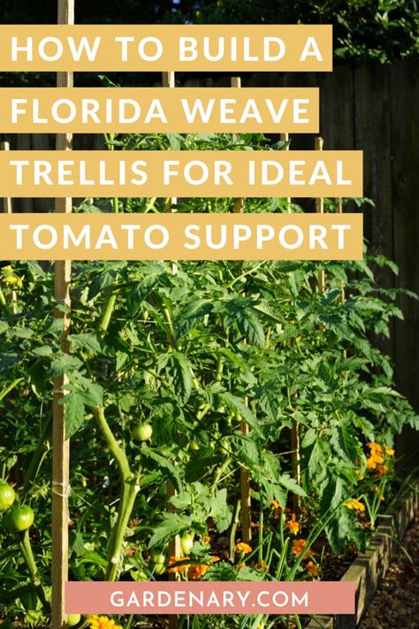 How to Build a Florida Weave Trellis for Ideal Tomato Support • Gardenary Vegetable Garden Trellis Ideas Diy, Florida Weave, Tomato Support, Houston Garden, Garden Board, Tomato Growing, Determinate Tomatoes, Tomato Trellis, Arch Trellis