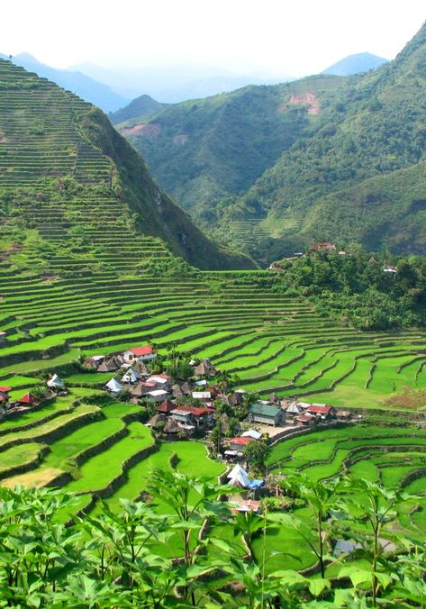 What to see in Batad, a marvel in the north of the Philippines #batad #philippines #visitbatad #manila #travel #traveltophilippines Scenery Beach, Philippines Travel Guide, Siargao Island, Siargao, Rice Fields, Rice Terraces, Sanctuary Bedroom, Adventure Vacation, Nature Life