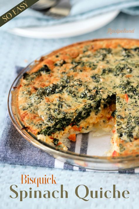 An easy and delicious crustless spinach quiche made with Bisquick, seasoned fluffy eggs, onions, cheese, and an impossible crust that makes itself! The quiche is great for a quick Sunday brunch, breakfast, lunch, or dinner. Bisquick Impossible Spinach Pie, Quiche With Bisquick Crust, Bisquick Quiche Recipes Simple, Bisquick Impossible Quiche, Spinach Impossible Pie, Crustless Quiche With Bisquick, Bisquick Crustless Quiche, Bisquick Spinach Quiche Recipes, Bisquick Quiche Recipes Impossible Pie