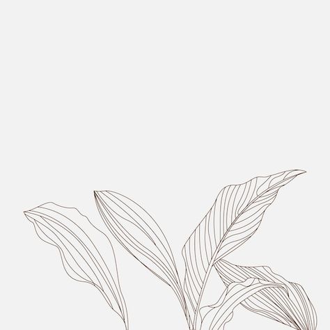 Vector black and white line art decorati... | Premium Vector #Freepik #vector #tree-pattern #leaf-pattern #plant-pattern #nature-pattern Plant Illustration Black And White, Plant Line Art, Leaf Line Art, Colour Mood, Leave Pattern, Black And White Line Art, Pattern Leaf, White Line Art, Plant Background