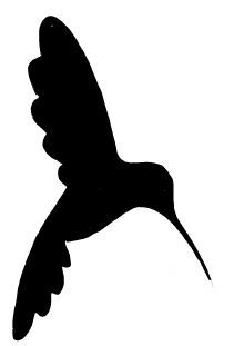 Hummingbird Drawing, Idee Cricut, Silhouette Stencil, Bird Silhouette, Animal Silhouette, Stencil Patterns, Scroll Saw Patterns, Silhouette Art, Bird Art