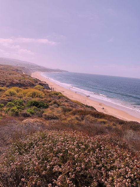 Crystal Cove Beach California Crystal Cove California, Vanguard University, Crystal Cove State Park, Phone Widgets, Crystal Cove, California Summer, Summer Solstice, Beach California, 2024 Vision