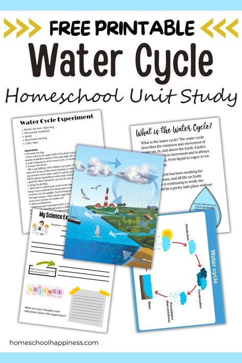 Water cycle activities for kids! Turn your home into a learning lab and watch their faces light up as they explore the amazing journey of water. Build a mini water cycle in a bag. These activities make learning about evaporation, condensation, and precipitation fun and interactive. It's the perfect way to nurture their curiosity about the natural world! #watercycle #kidsactivities #sciencefun #learningathome Water Cycle In A Bag, Water Cycle For Kids, Water Cycle Experiment, Water Cycle Activities, Cycle For Kids, The Water Cycle, Blue Food Coloring, Water Games, Water Cycle