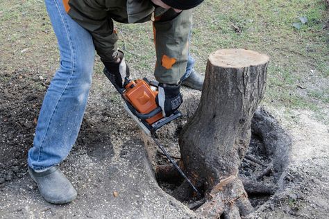 Stump Removal Services - Campbell Tree Management Services Retention Pond, Stump Grinding, Tree Removal Service, Pond Cleaning, Stump Removal, Tree Felling, Tree Pruning, Tree Removal, Removal Company