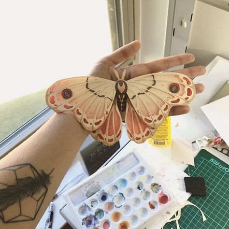 Dana Sanmar | Illustrator on Instagram: “A giant moth just came to visit :3 . . . . . . #moth #wip #illustration #paper #paperart #cansonpaper #gouache #cute #scad #scadatlanta…” Paper Mache Butterflies, Moth Paper Craft, Cardboard Art Ideas, Paper Moths Diy, Paper Mache Butterfly, Moth Crafts, Paper Mache Projects Ideas, Paper Doll Wardrobe, Moth Diy