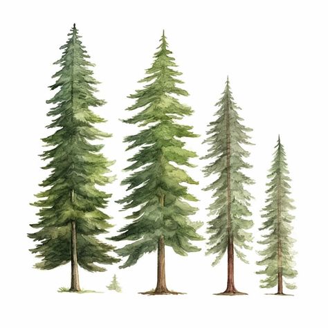 Pine Tree Illustration, Tree Drawing Simple, Pine Tree Drawing, Trees Watercolor, Summer Tee Shirts, Forest Illustration, Instagram Ideas Photography, Hand Drawn Illustration, Watercolor Trees