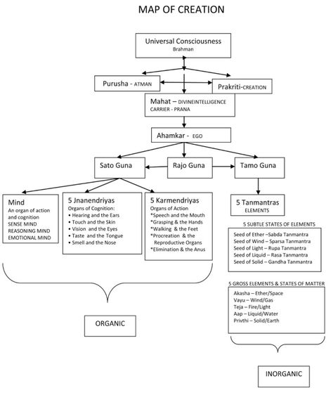 Image Molecular Basis Of Inheritance, Biology Class 12, Central Dogma, Neet Notes, Class Diagram, Biology Revision, Dna Replication, Study Flashcards, Revision Notes