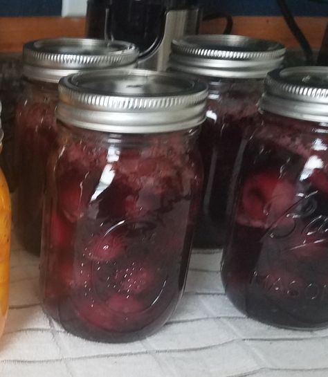 Canning and Cooking - Iowa Style - Sweet Cherry Pie Filling (Ball recipe) Canning Pie Filling, Grow Cantaloupe, Sweet Cherry Pie Filling, Best Cherry Pie, Cherry Pie Filling Recipes, Rhubarb Juice, Sweet Cherry Pie, Canning Cherry Pie Filling, Sour Cherries