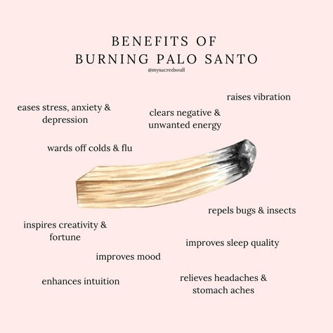 a few reasons as to why you should be burning palo santo with a sweet lemon scent🪵🍋 www.mysacredsoul.co.uk #palosanto #palosantowood #spiritualpractice #cleansingenergy #badenergy #badenergystayfaraway #fullmoonritual #newmoonritual #cleansingcrystals #crystalshop #crystalshopuk #cleansing #cleansingkit #spiritualtools Burning Palo Santo, Healing Studio, Cleanse Your Space, Lemon Scent, Witch Spirituality, Witchy Tips, How To Relieve Headaches, Sweet Lemon, Energy Healing Spirituality